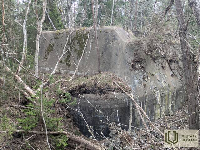 PXL_20260428_111550686.jpg