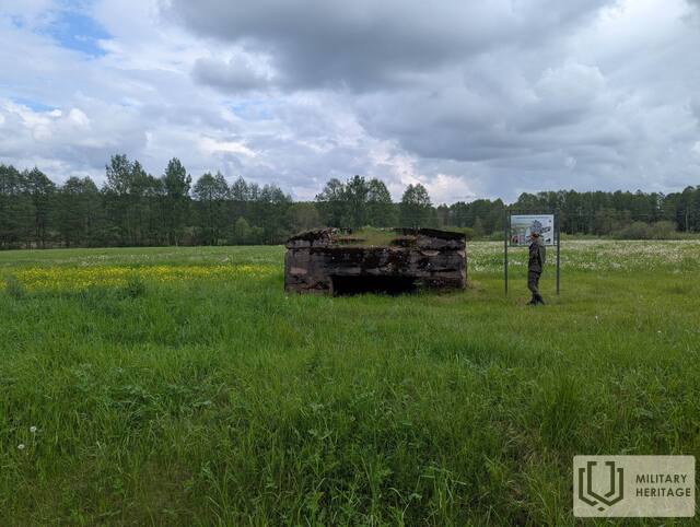 PXL_20250529_130535530.jpg