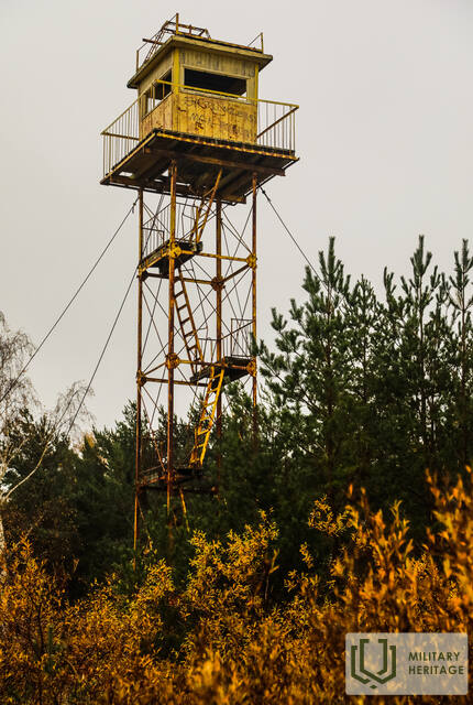 Mazirbestornis_AJermuts65.jpg