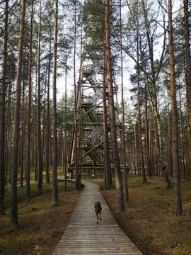 Bumbu Hill observation tower and memorial site. Photo: Edgars Ražinskis. 2021.