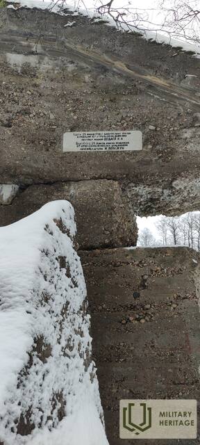 IMG_20211229_135439.jpg